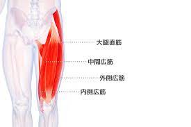 No 13 太もも前側にある筋肉 大腿四頭筋 の硬さをチェック 前ももを柔らかくするストレッチも紹介 スターティングフィットネスジャパン